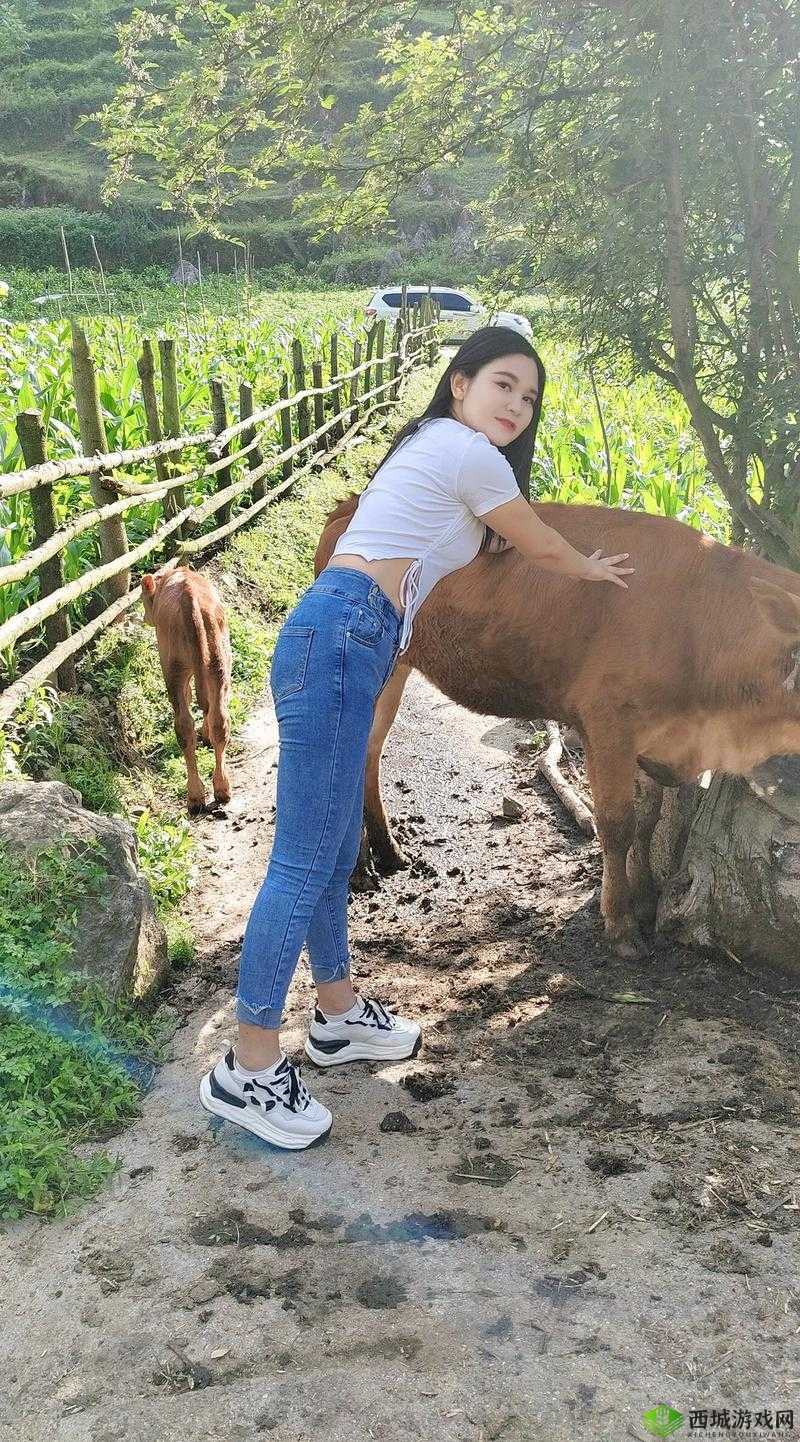 美女户外勾搭放牛老头视频在线:惊世勾搭引发热议