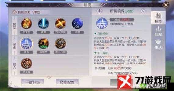 乱斗堂外套必杀技能:深度解析与实战应用指南