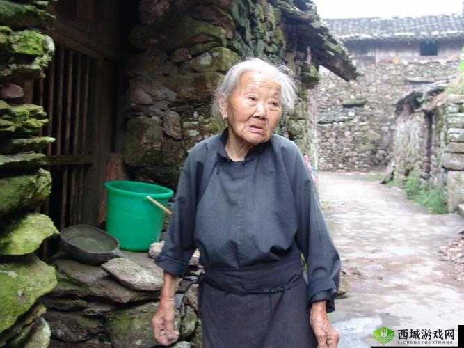 浓毛中国老太:探究老年人的生活与文化