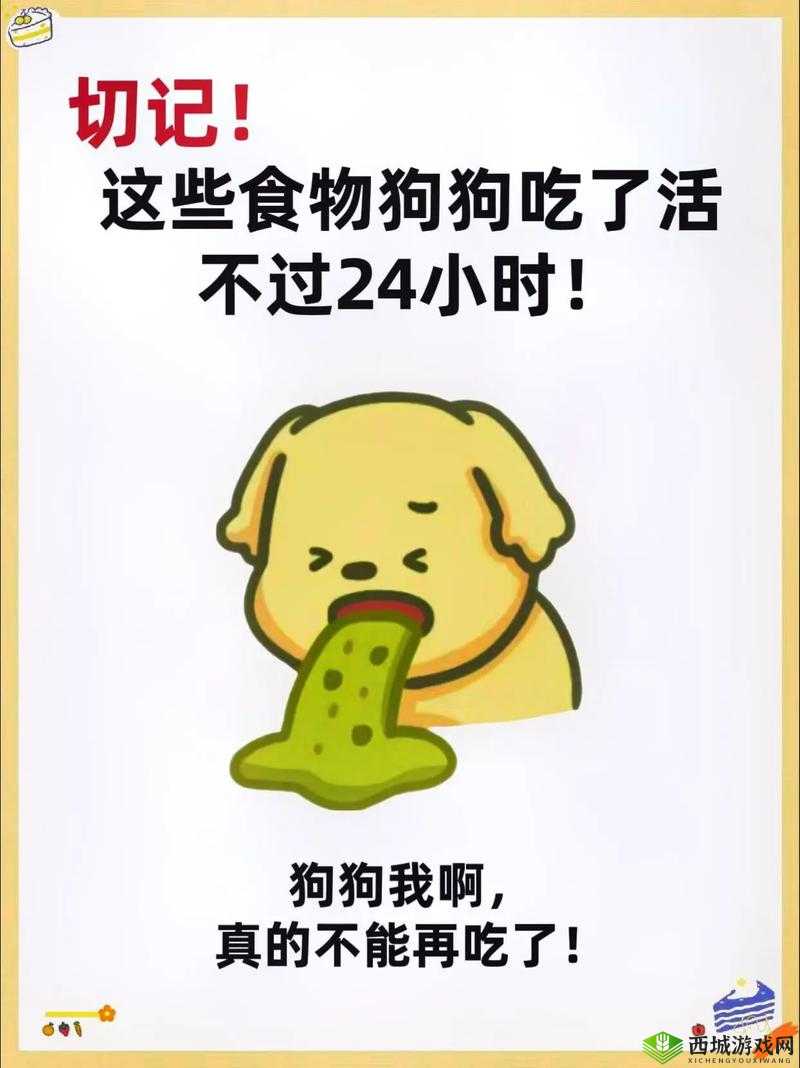 老公不在家:狗狗的东西能要吗?