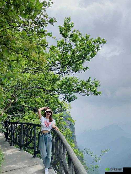 仙踪林直接入站网:探索神秘仙境的入口