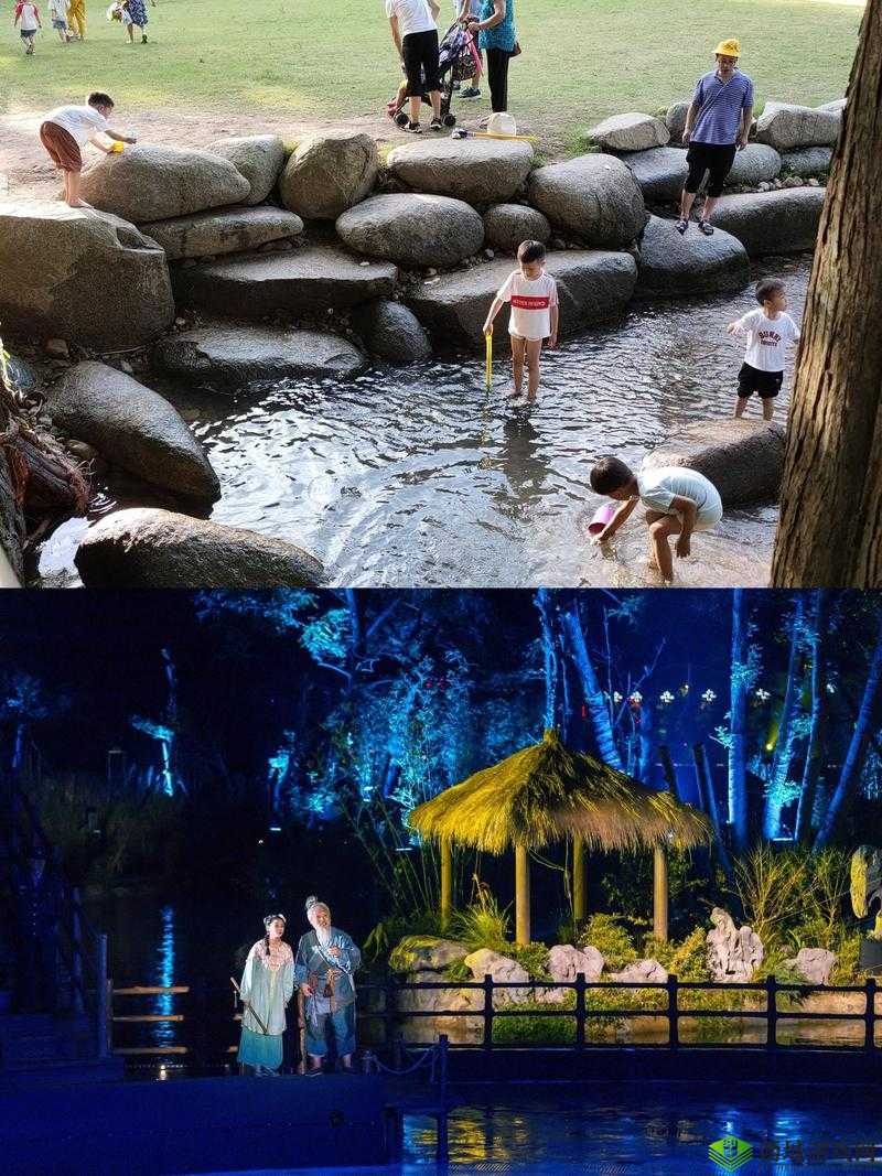 另类综合激情艳母：别样激情的综合呈现