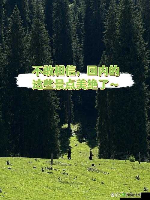 又大又长又粗:探寻其独特之处