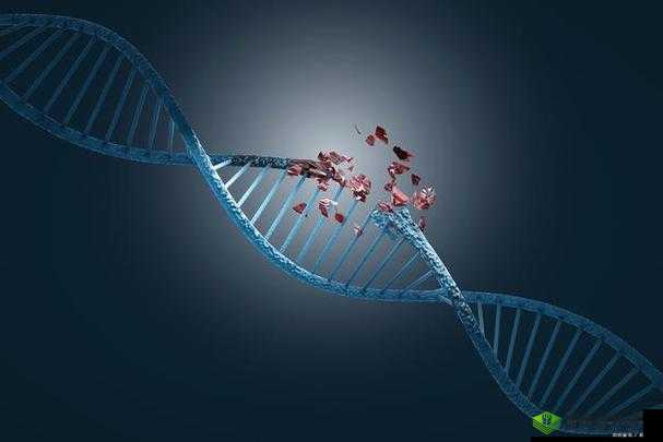 杂交 bUCsm 人类 ssbA：基因编辑的挑战与机遇