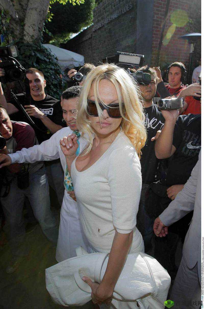 Freezeframe 丰胸:打造完美曲线的秘密武器