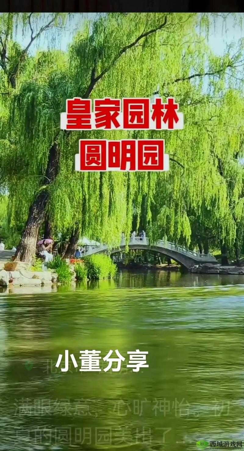 公主在御花园吃龙棍:这画面太美