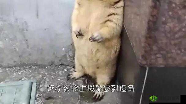 插逼逼啊啊啊：探讨 XX 话题