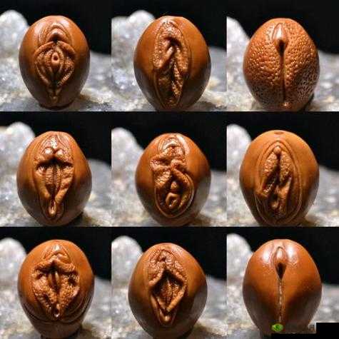 女性生殖高清特写 HD：探索生命奥秘