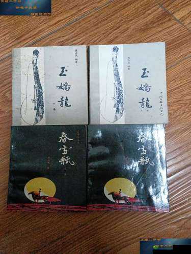 玉娇龙续集春雪瓶 txt 免费阅读全本精彩呈现