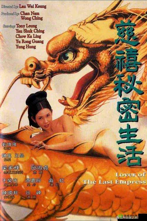 成人影片在线观看:满足你的私密需求