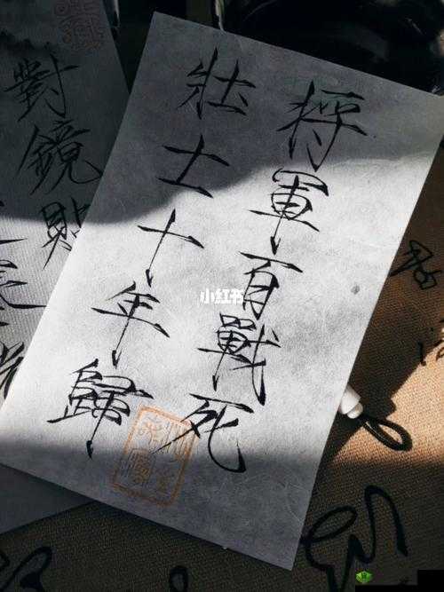 老年镖客:黄沙百战穿金甲,壮士十年归