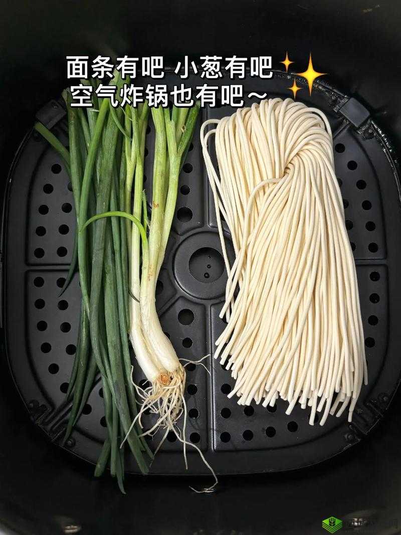 大香煮 2024 一人一煮:使用方法详解