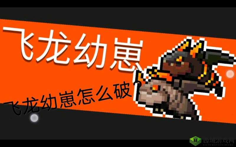元气骑士飞龙幼崽攻略：先灭白龙，轻松制胜的关键打法教学