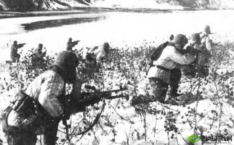 战意：河湟乡军兵团行为揭秘：精锐军事力量展现的独特行为分析