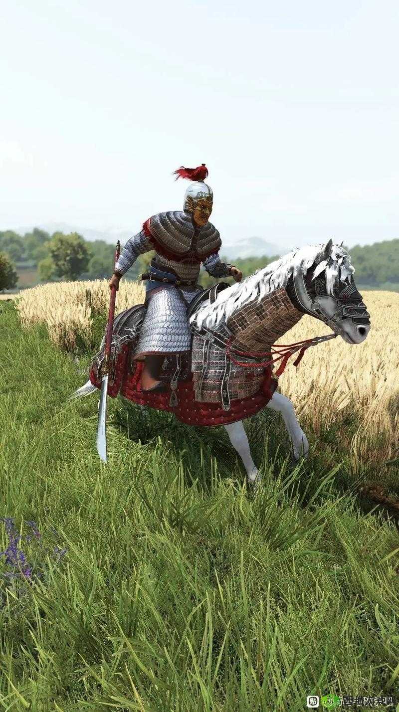 骑马与砍杀2自立攻略:快速建国心得分享