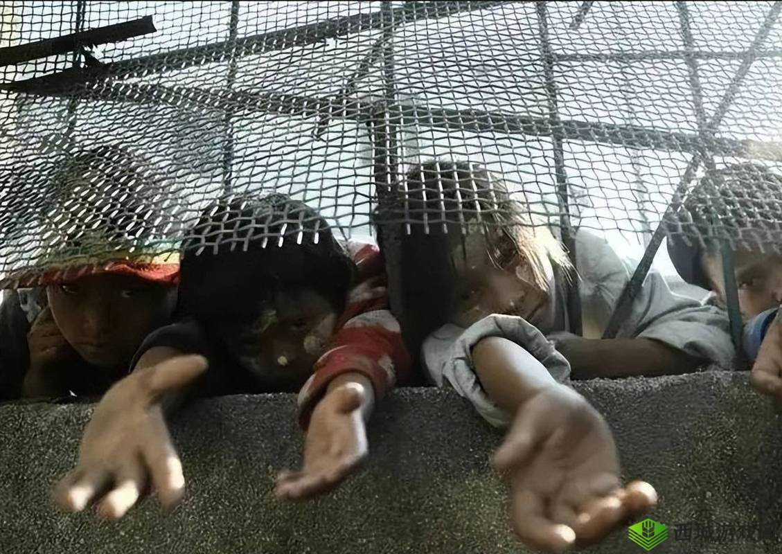 缅北园区实拍视频:揭秘罪恶之地