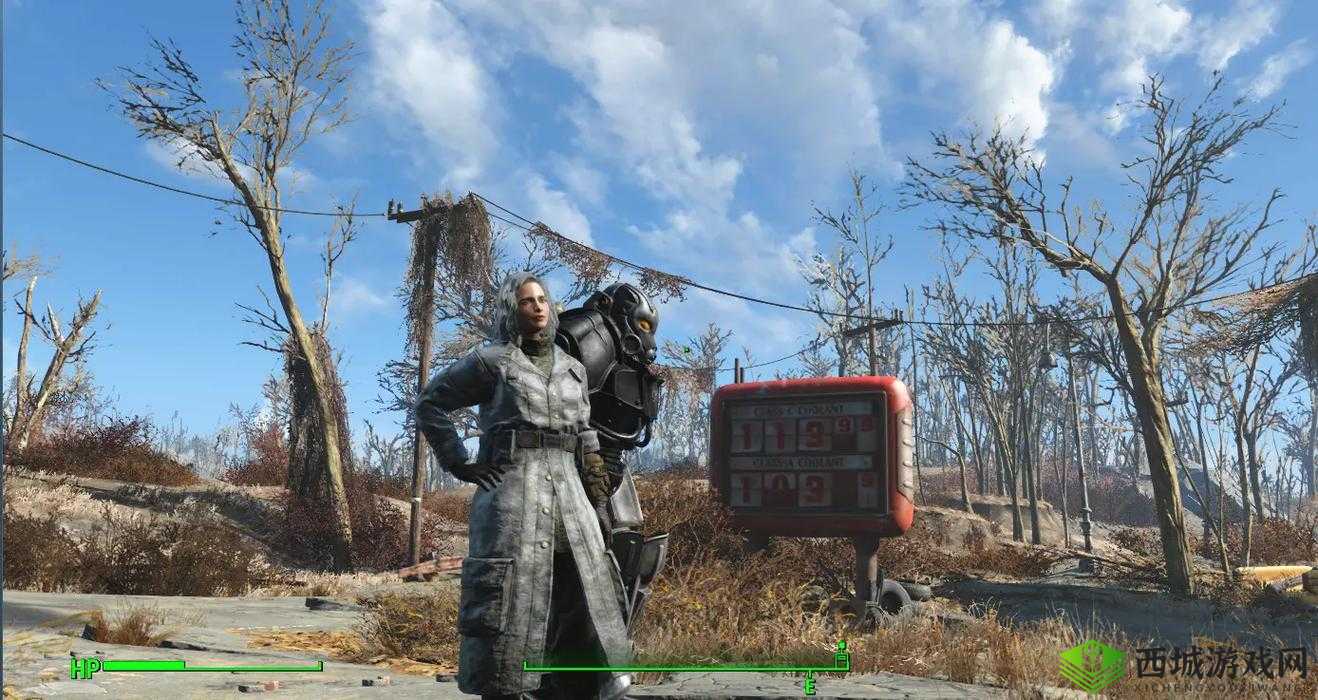 辐射4主角老冰棍:身世与由来揭秘