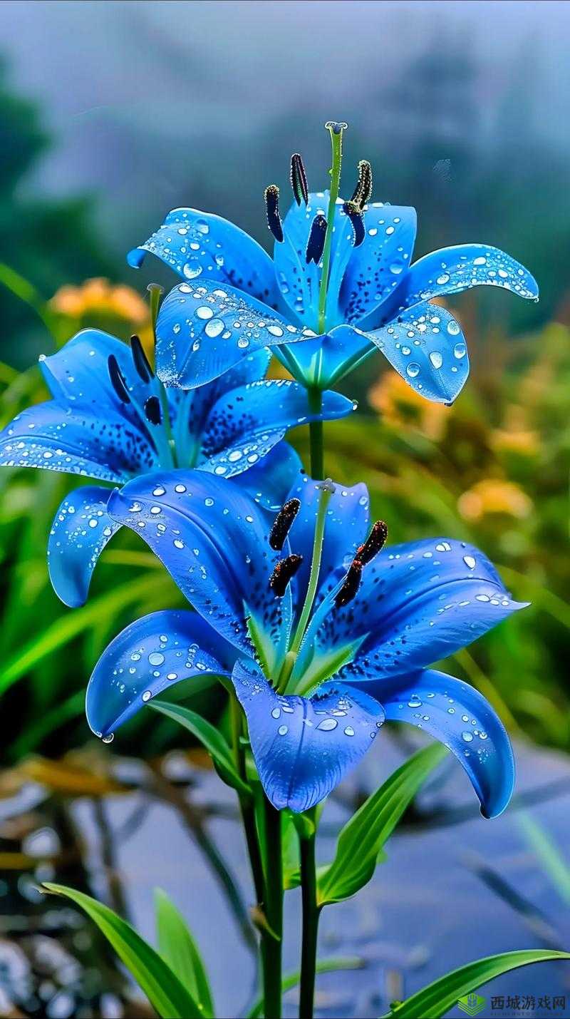 热热色色:独特而迷人的存在