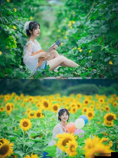 丝瓜草莓向日葵:夏日田园的缤纷蔬果