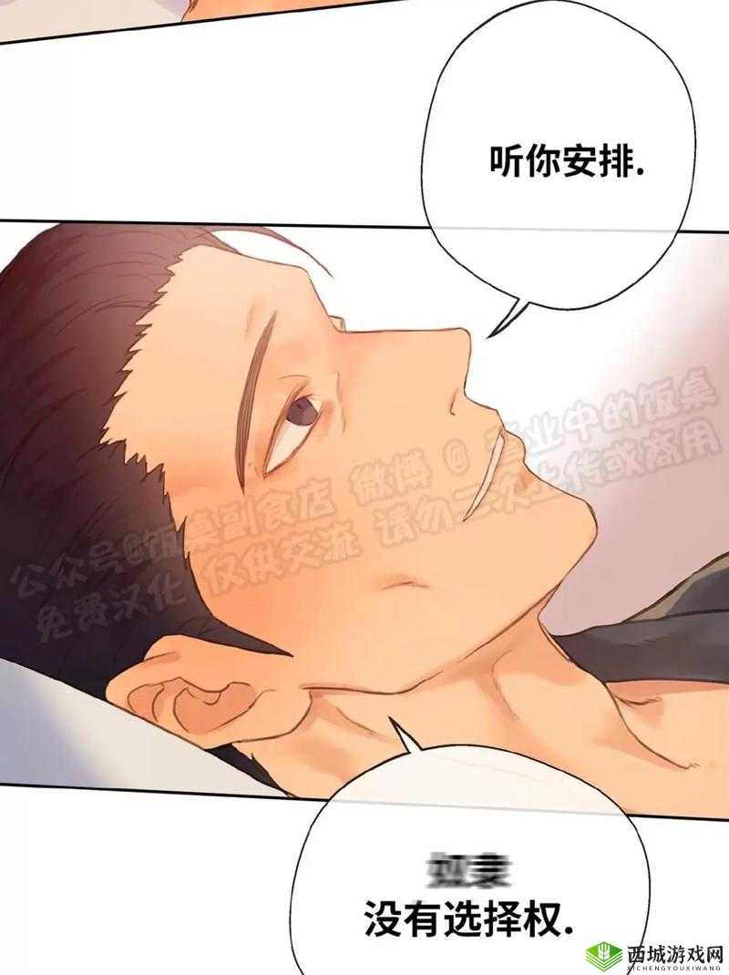 S 如何调教 M 小狗:趣味互动与训练之道