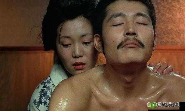 欧美乳交:极致感官体验的探索