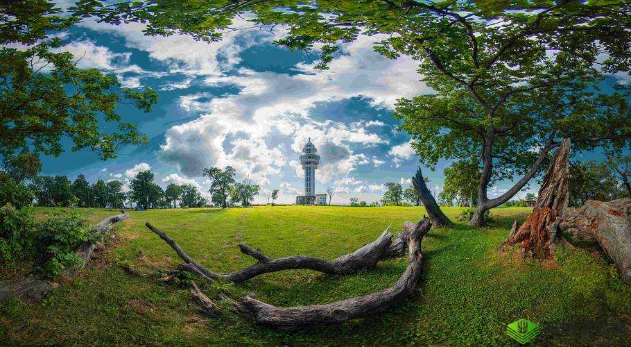 永远的免费论坛:你的最佳交流地