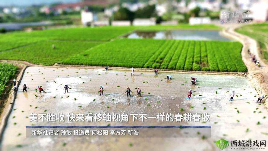 自拍偷拍可乐视频:不一样的视角