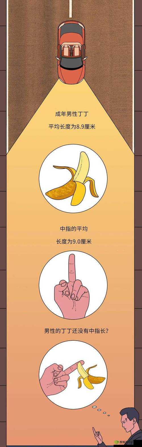 如何自 w 到高 c 亲身教学:提升性技巧的私密指南