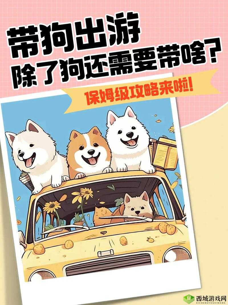 纸境全成就达成攻略:解锁所有成就的条件与指南