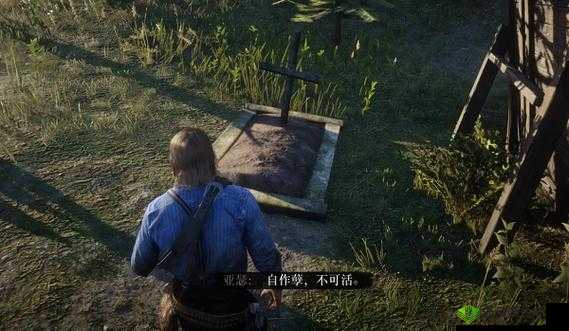 荒野大镖客：40 岁大妈的线上传奇