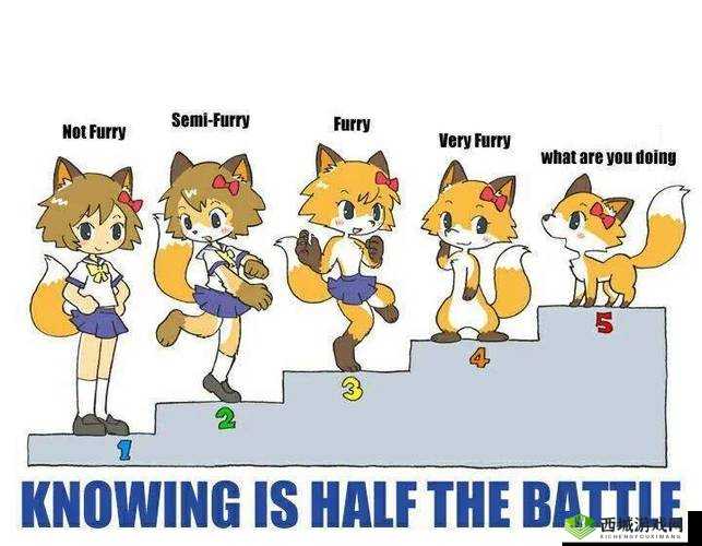 GAY 操逼小马拉大车：另类视角下的奇特场景