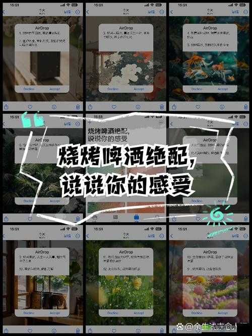 及时行乐 NPH:畅享当下欢乐时光