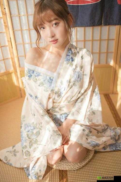 日本无码鲁丝中文字幕:揭秘日本成人影片的奥秘