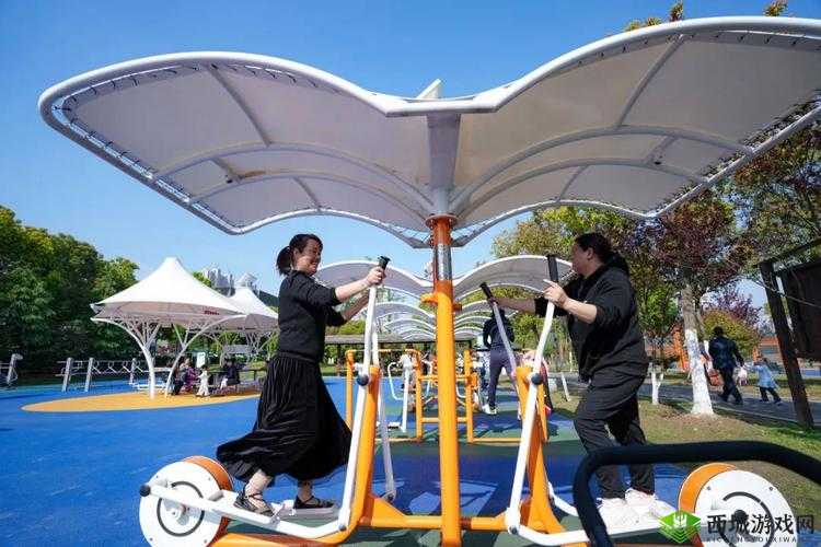 可乐操久久久:独特健身操带来别样体验