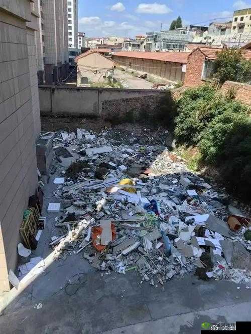 vol25 韩国事件一 laji8:引发争议