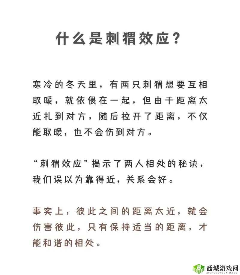 人与人和人与物：和谐共处的秘诀