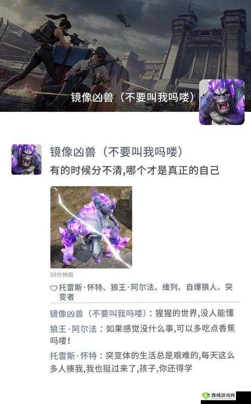 91 狼人社:探索神秘的社交圈子