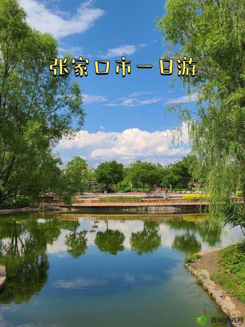 国产一区二区三区在线:无尽激情,尽在这里