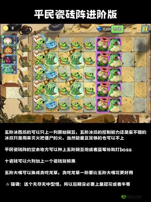 植物大战僵尸 2 中文版埃及植物危机第二天通关秘籍