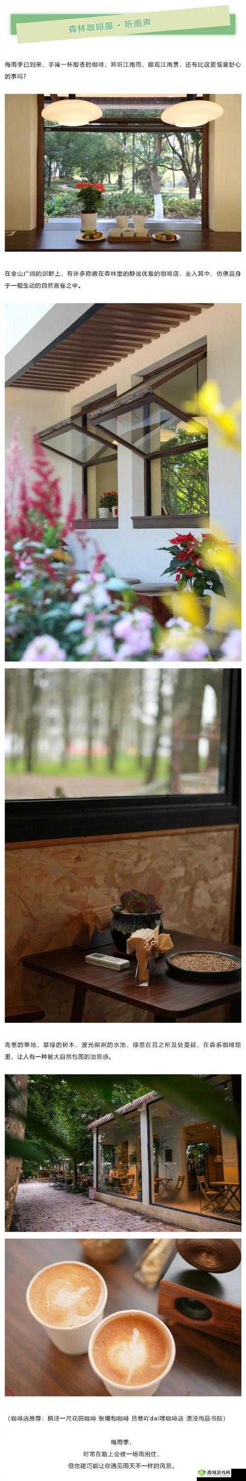 中日乱码卡一卡二仙踪林:独特体验之所在