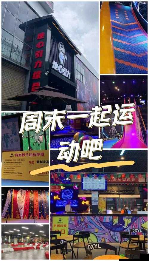 一对一刺激免费:全新体验等你来