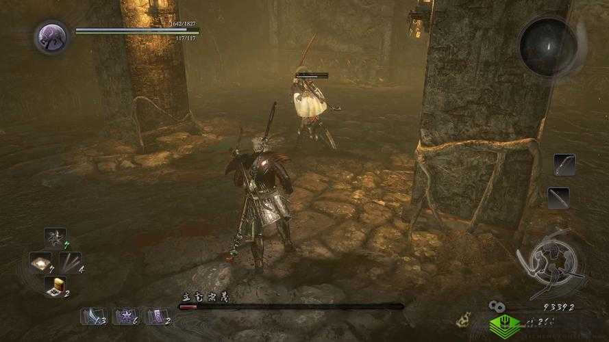 仁王立花宗茂攻略指南:掌握技巧与战术,轻松战胜挑战