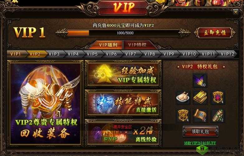 蓝月传奇 2 攻略:探寻玛雅五层进入之法全解析