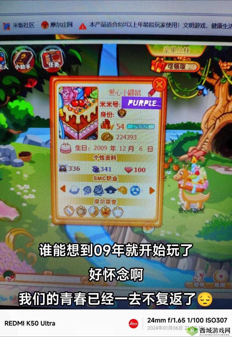 摩尔庄园秘籍:快速提升拉姆成长值的独家攻略指南