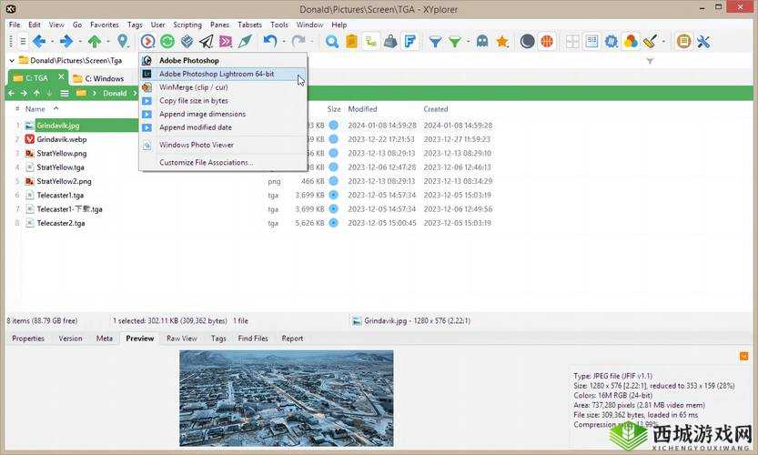 色谱网页直接打开:便捷访问的新途径