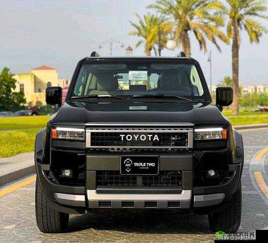 成熟欧美精品 SUV:卓越品质之选