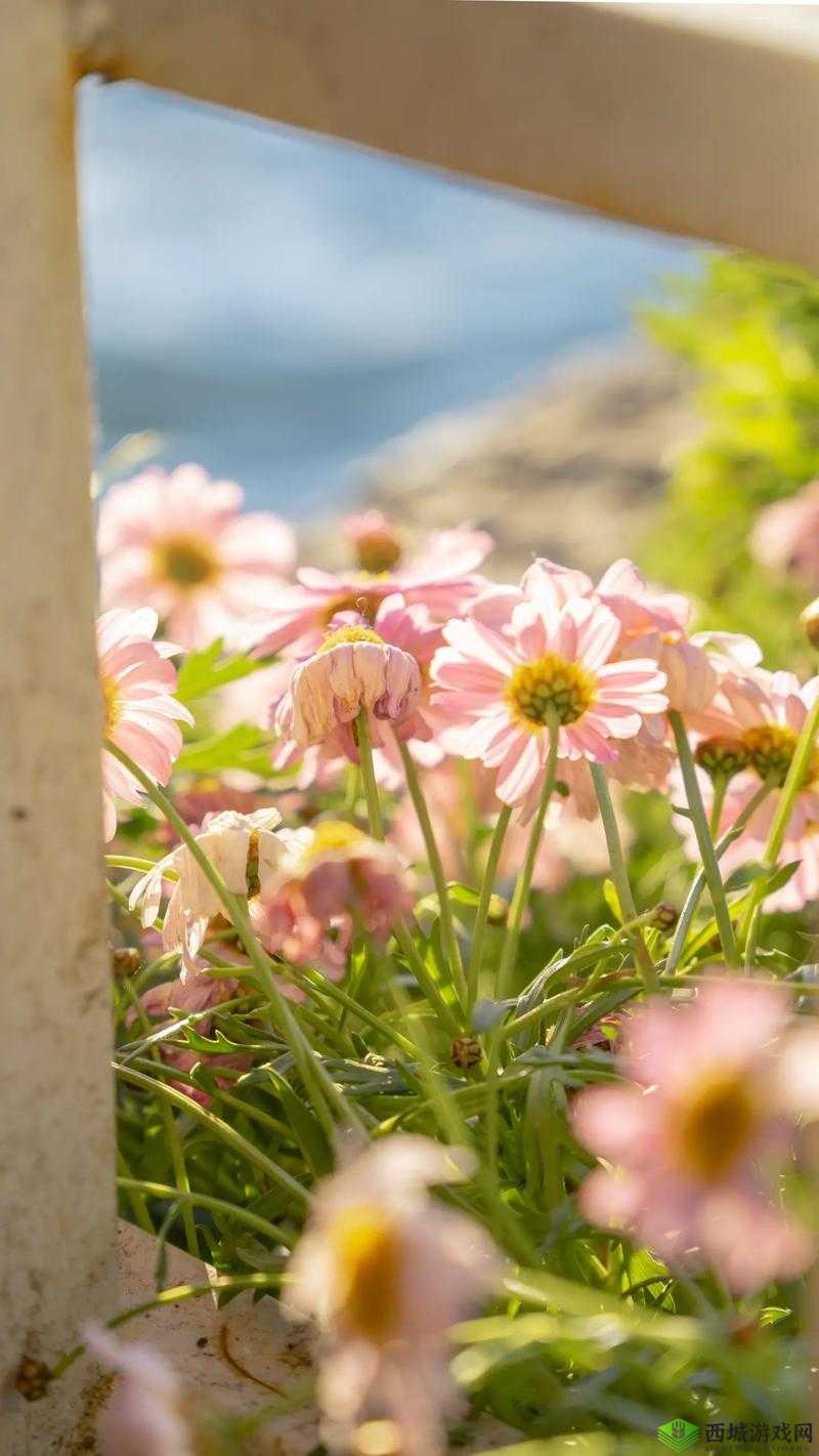 折原五十路:一个独特的存在