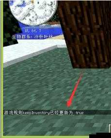 河北菜花封神代码:打造你的专属代码世界