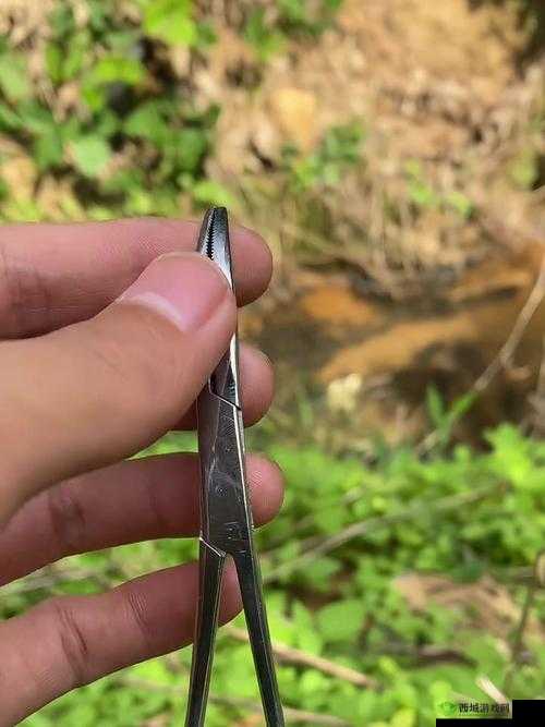 一夹一摇和鲤鱼吸水一样吗:二者区别探讨