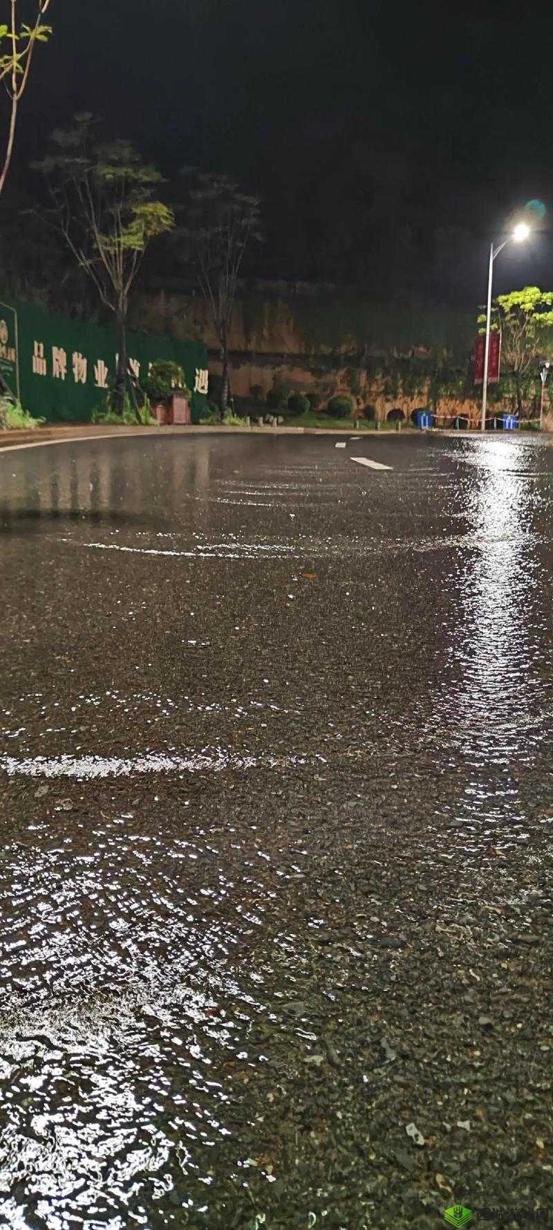下面湿漉漉的像是刚下过雨:雨后的景象